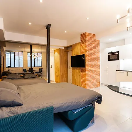 Loft 1 Bedroom Jardin Des Plantes Ac By Lcc Agency Paris